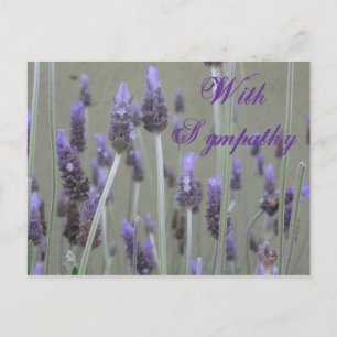 With Sympathy Thank You Postcard