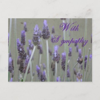 With Sympathy Thank You Postcard by DonnaGrayson_Photos at Zazzle