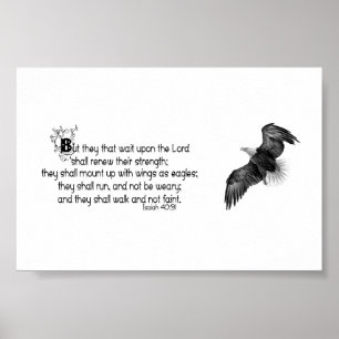 With wings as eagles  poster