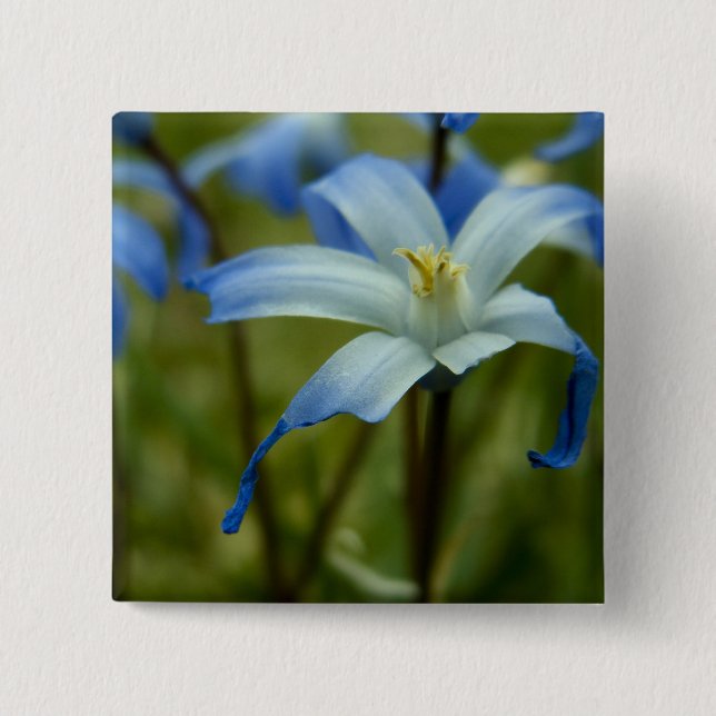 witherly pinback button (Front)