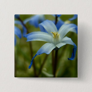 witherly pinback button