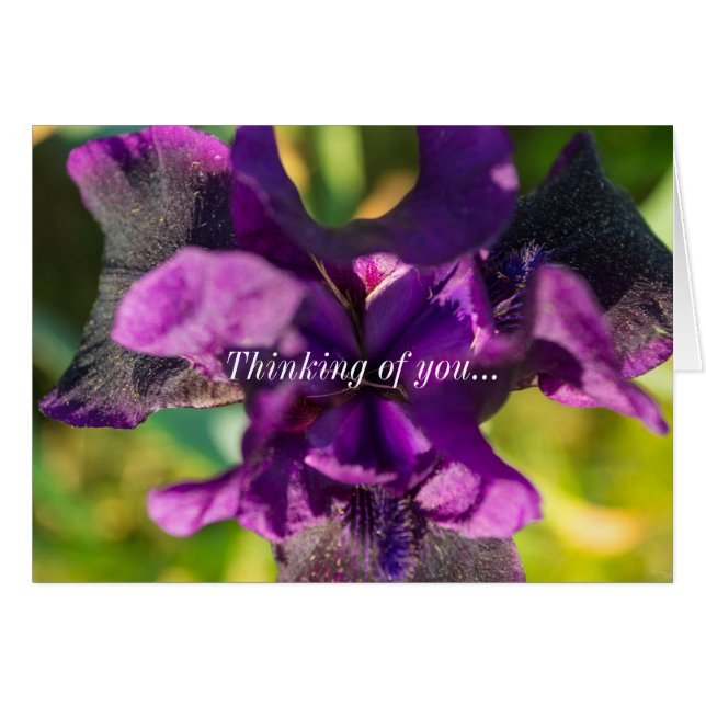 Within An Iris Thinking Of You Card (Front Horizontal)