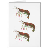 WITHIN THE BAY (Front)