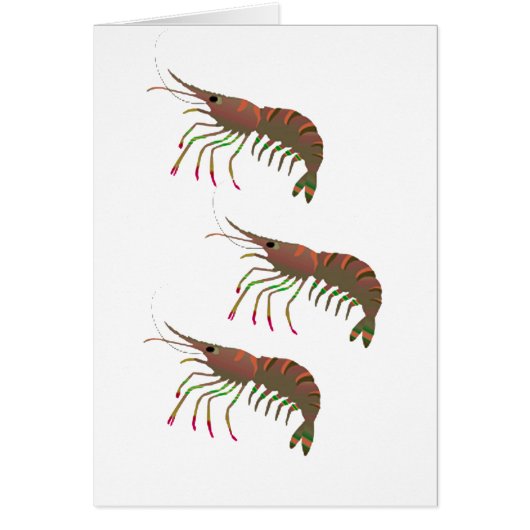 WITHIN THE BAY (Front)