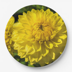 Within The Dahlia Garden 3 Paper Plates