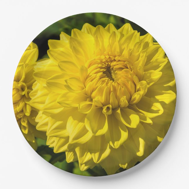 Within The Dahlia Garden 3 Paper Plates (Front)