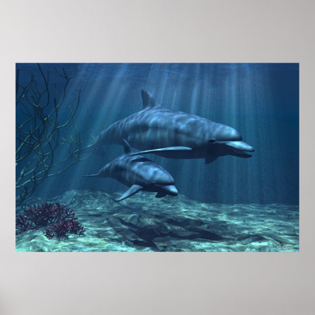 Within the Light Poster (Front)