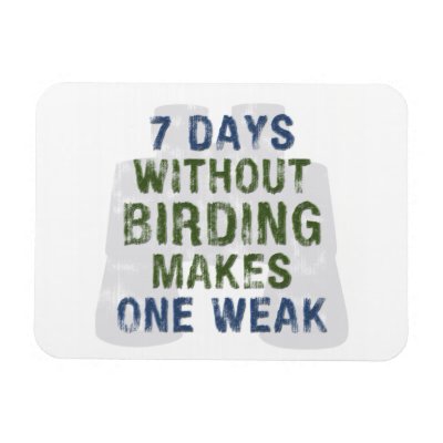 Without Birding One Weak Magnet