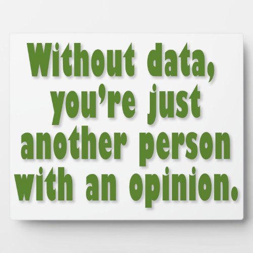 Without Data Youre Just Someone with an Opinion Plaque