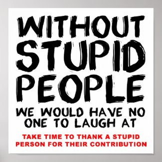 Without Stupid People Funny Poster