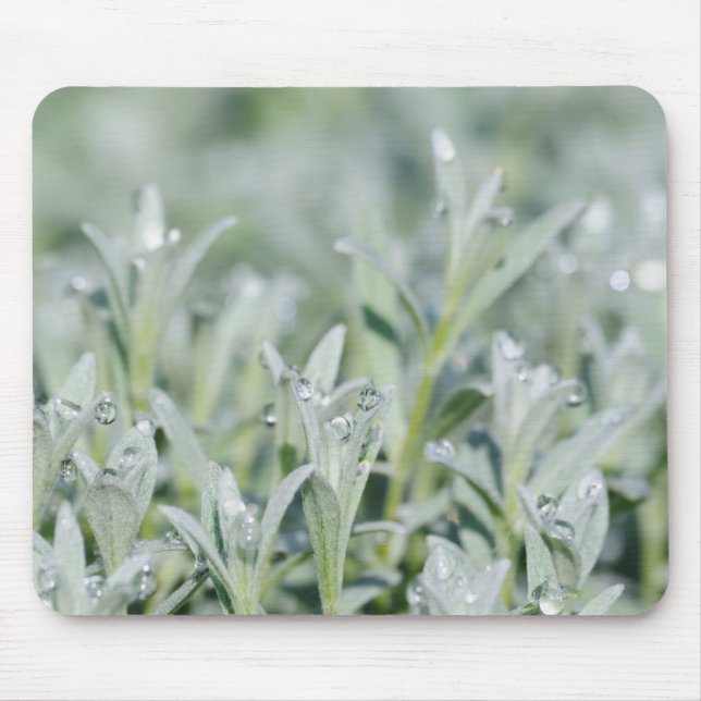 witte graas mouse pad (Front)