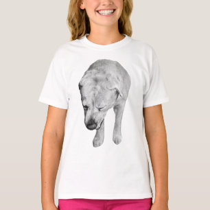 Witty Head-Down Lab, Holiday Glow T-Shirt