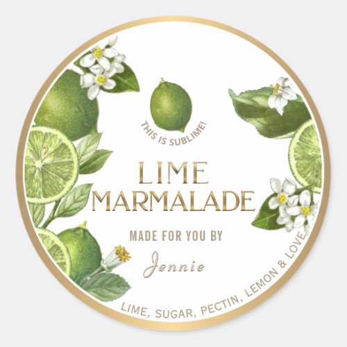 Witty Logo Design Elegant Lime Marmalade Classic Round Sticker