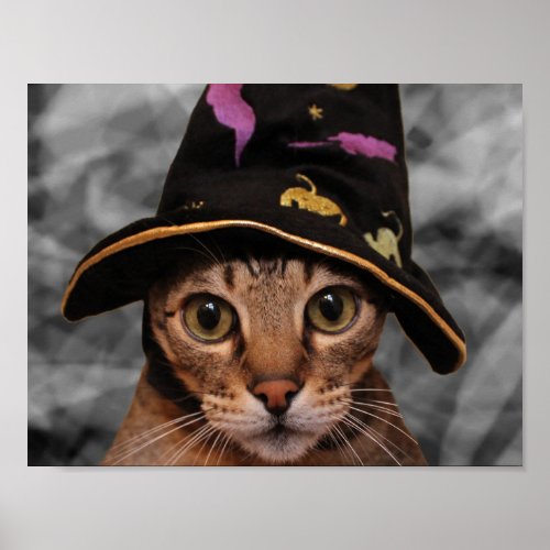 Wizard Kitty Poster