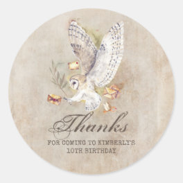 Wizard Owl Mail Birthday Thank You Classic Round Sticker