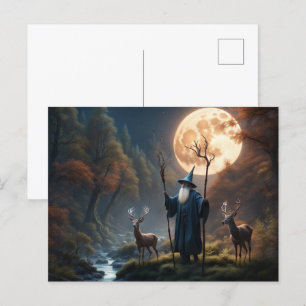 Wizard Postcard