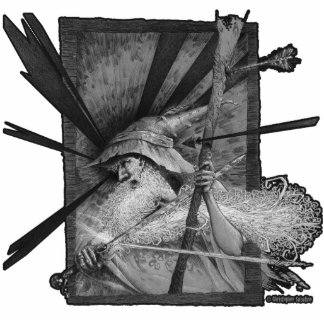 Wizard Under Fire Photo Sculpture