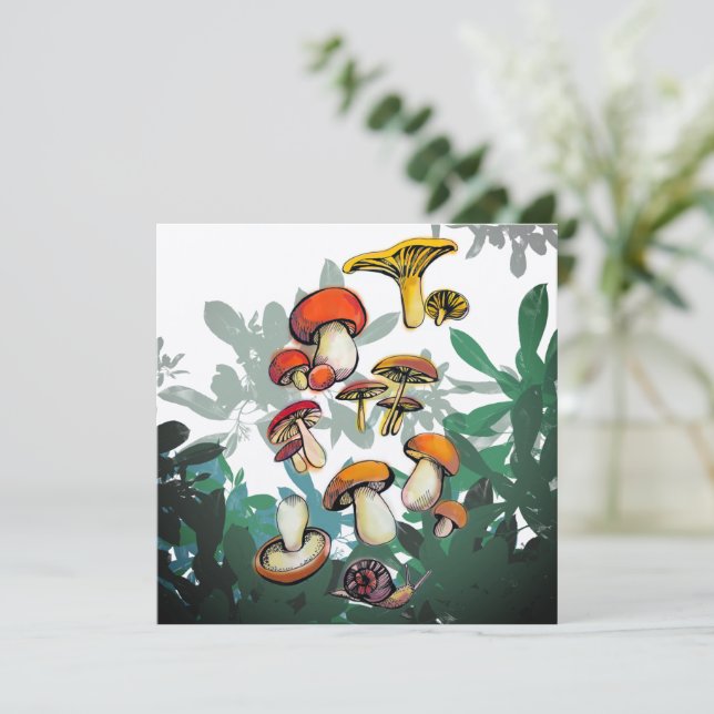 Wlld mushrooms (Standing Front)