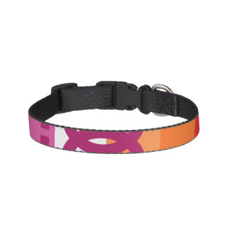 WLW Lesbian Pride Flag Pet Collar