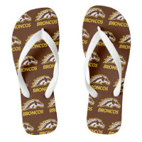 WM Broncos