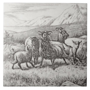 Wm Wise Minton Farm Animals Goats Tile Repro c1879