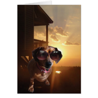 "Woah, that sun is bright," said Baxter. Cards