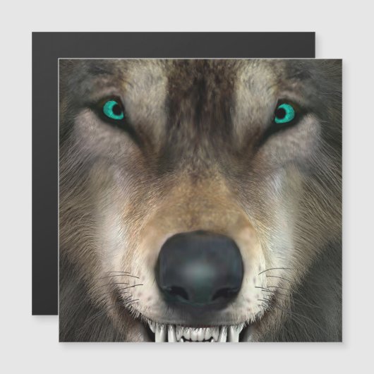 Wolf (Front/Back)