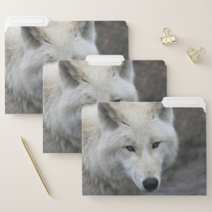 Wolf 001 file folder