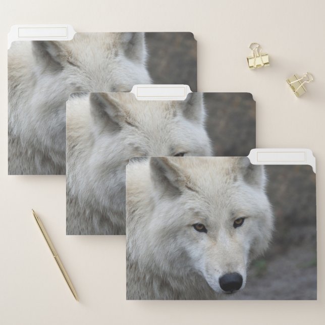 Wolf 001 file folder (Set)