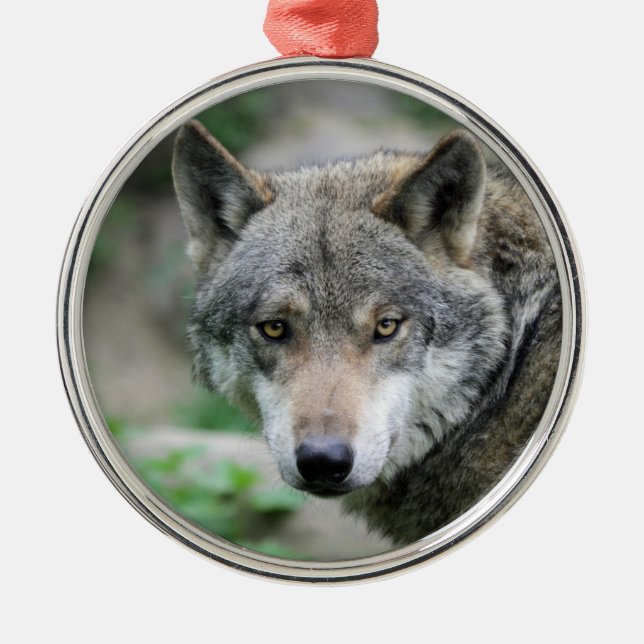 Wolf_011 Metal Ornament (Front)