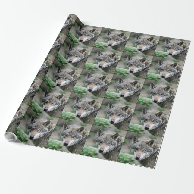 Wolf_011 Wrapping Paper (Unrolled)