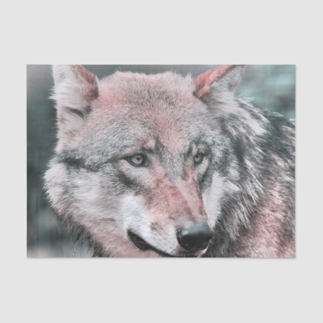 wolf 1115 tissue paper (Front)