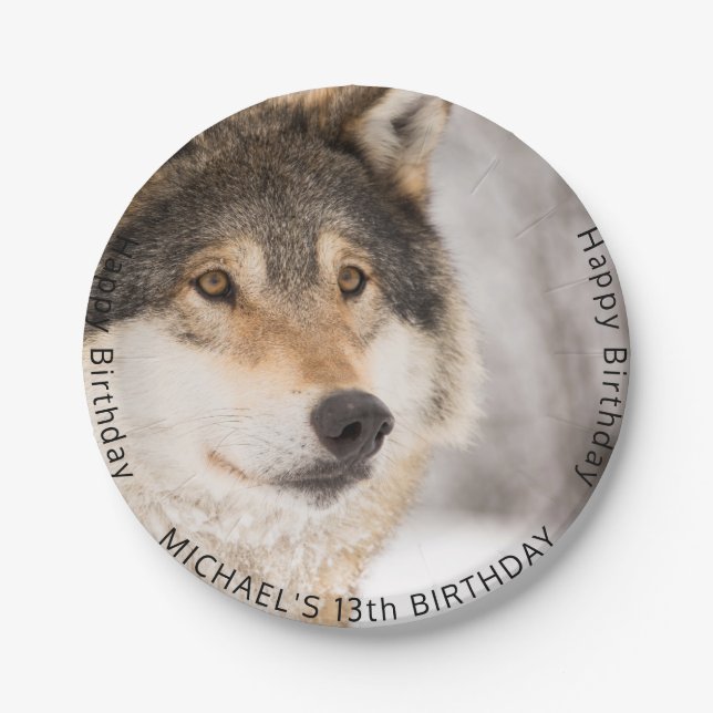 Wolf 13th birthday party teen boy paper plates (Front)