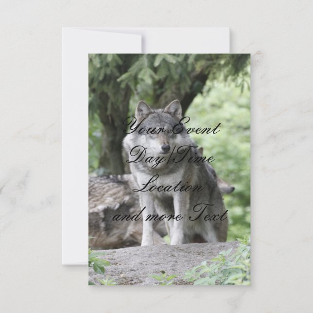 Wolf 14AJ Invitation (Front)