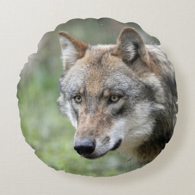 Wolf_2015_0111 Round Pillow (Front)