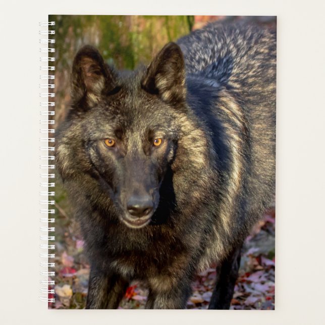 Wolf 2026 Planner | Lakota Wolf Preserve (Front)