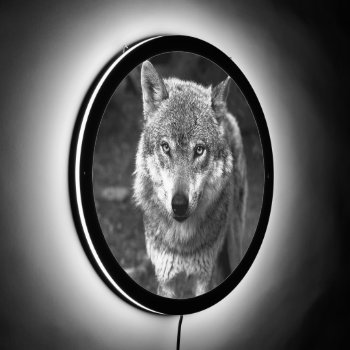Wolf 215  Led Sign by MehrFarbeImLeben at Zazzle