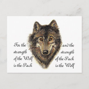 Wolf and Pack Quote - Animal Collection Postcard