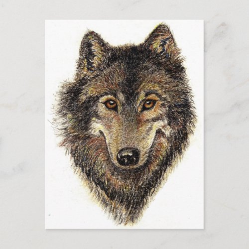 Wolf and Pack Quote _ Animal Collection Postcard