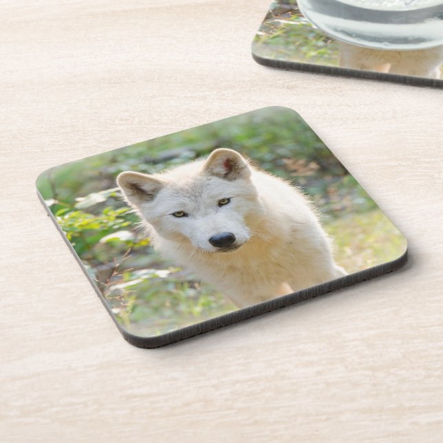 Wolf Animal Art, Canadian Wildlife Beverage Coaster (Left Side)