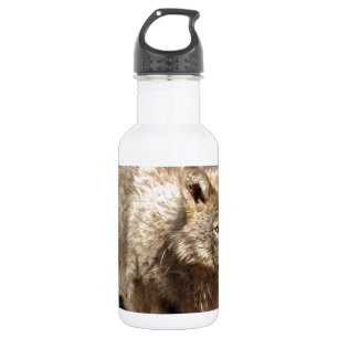 Wolf Animals Peace Love Nature Park Wolves Destiny Water Bottle