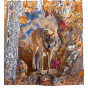 WOLF AUTUMN OBSERVATORY SHOWER CURTAIN
