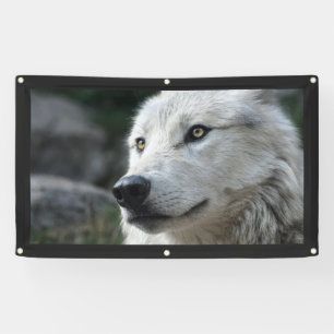WOLF Banner