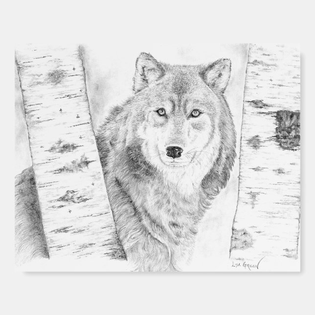 Wolf Between Birch Trees - Foam Boards (Front)