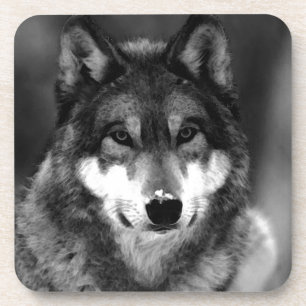 Wolf Beverage Coaster