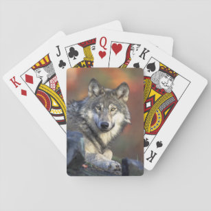 Wolf Bicycle Playing Cards