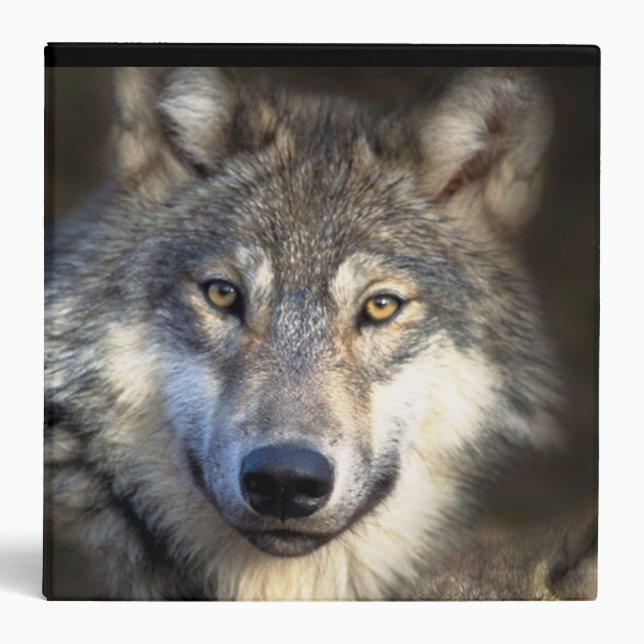 Wolf Binder (Front)
