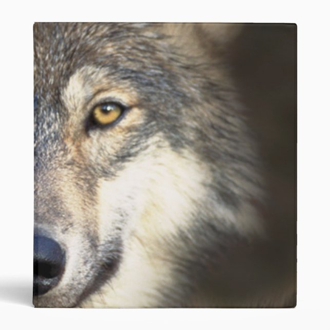 Wolf Binder (Front)