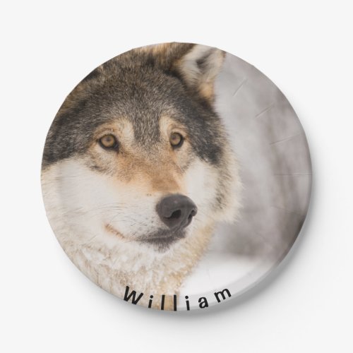 Wolf birthday party boy name paper plates