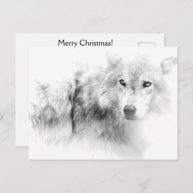 Wolf Black and White Christmas Holiday Postcard (Front/Back)